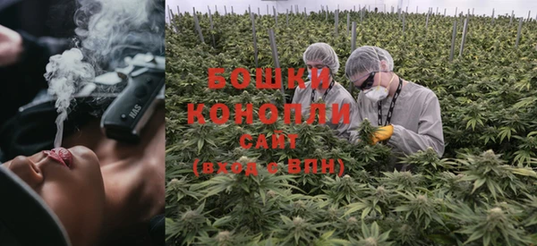 прущая мука Богданович