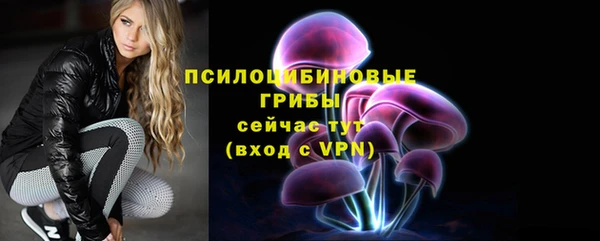 прущая мука Богданович