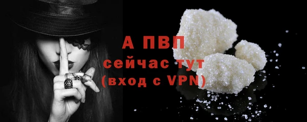 ПСИЛОЦИБИНОВЫЕ ГРИБЫ Богородицк